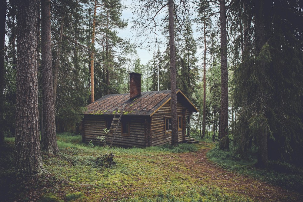 The Cedar House — illustrative sample photography